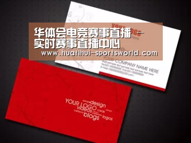 项目名称八