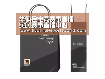 项目名称十四