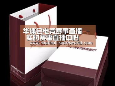 项目名称十二