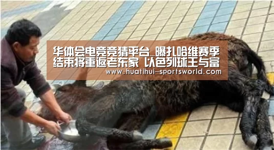 华体会电竞竞猜平台_曝扎哈维赛季结束将重返老东家 以色列球王与富力缘分将尽(图2) 华体会电竞官网