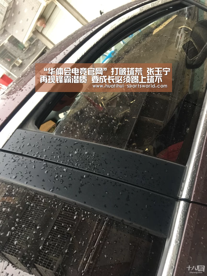 华体会娱乐