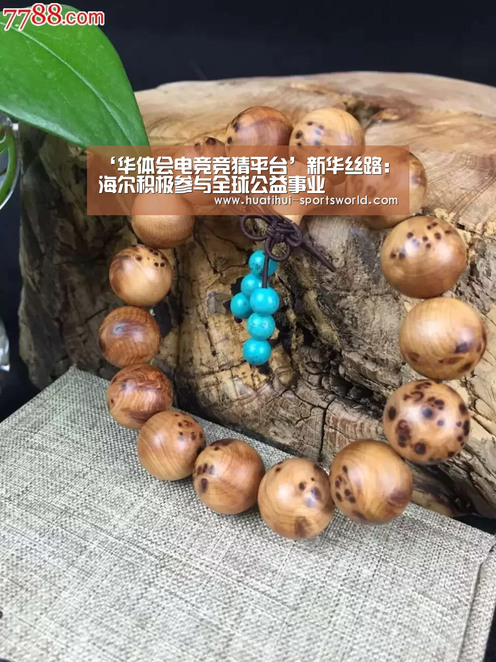 ‘华体会电竞竞猜平台’新华丝路:海尔积极参与全球公益事业(图1) 华体会电竞赛事直播