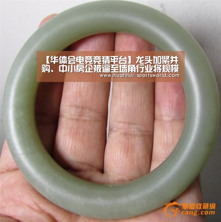 【华体会电竞竞猜平台】龙头加紧并购、中小房企被逼至墙角行业将规模化发展(图3) 华体会娱乐